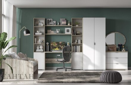 Стол письменный со стеллажом ПС-3003 Анима 