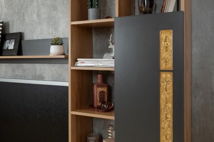 Шкаф МЦН 1 Crown 